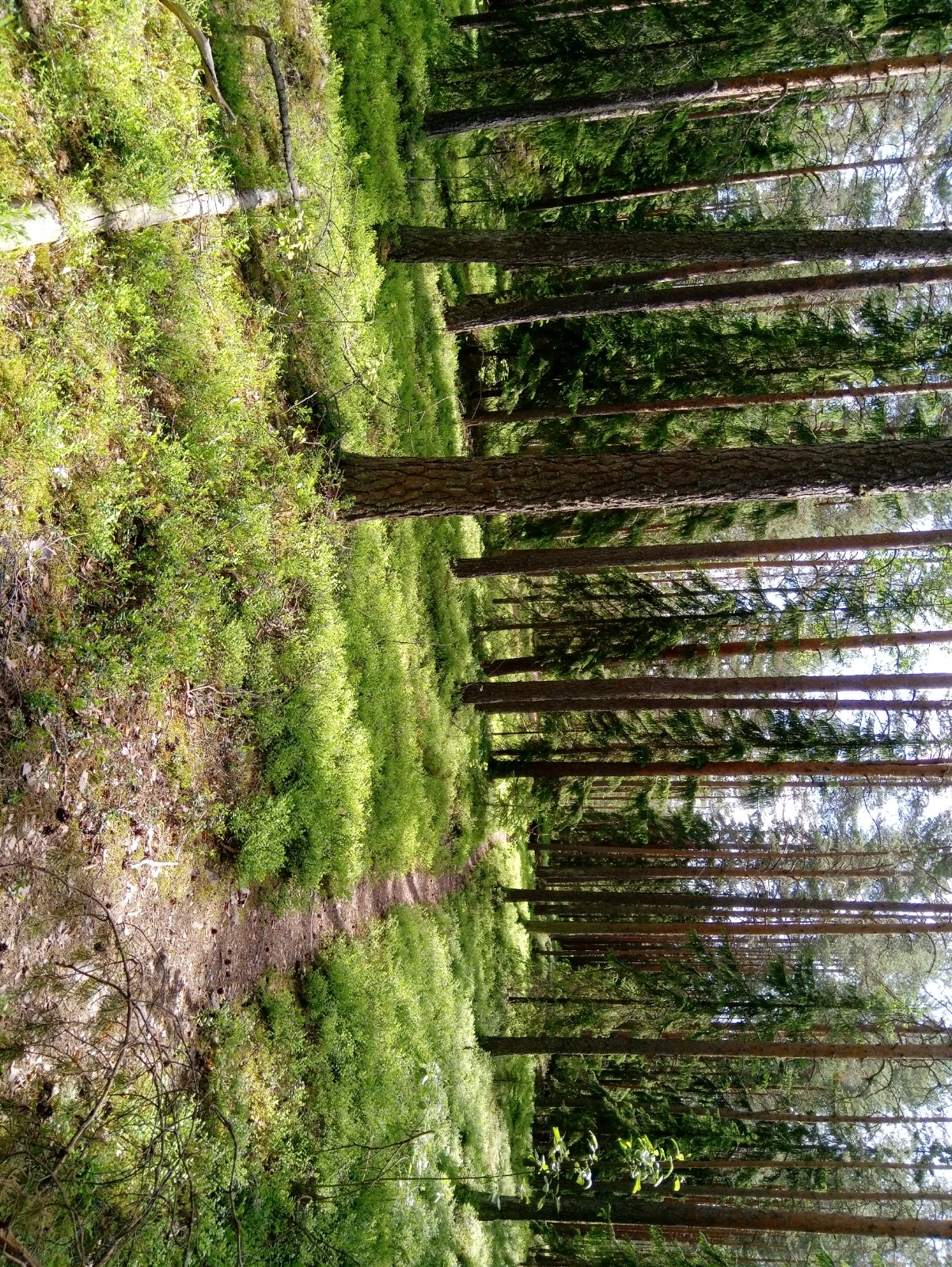 IMG_20220612_102716.jpg