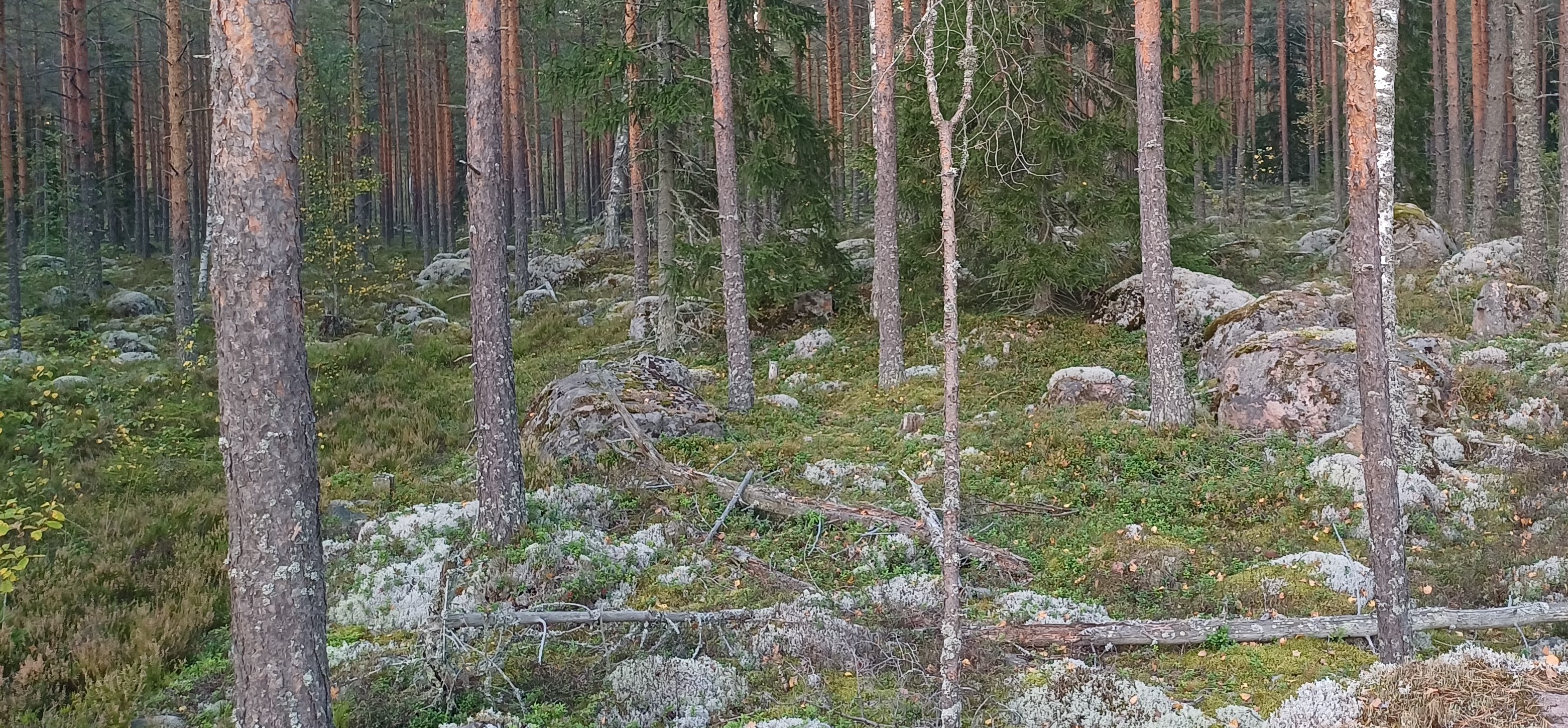 20250909_193104.jpg