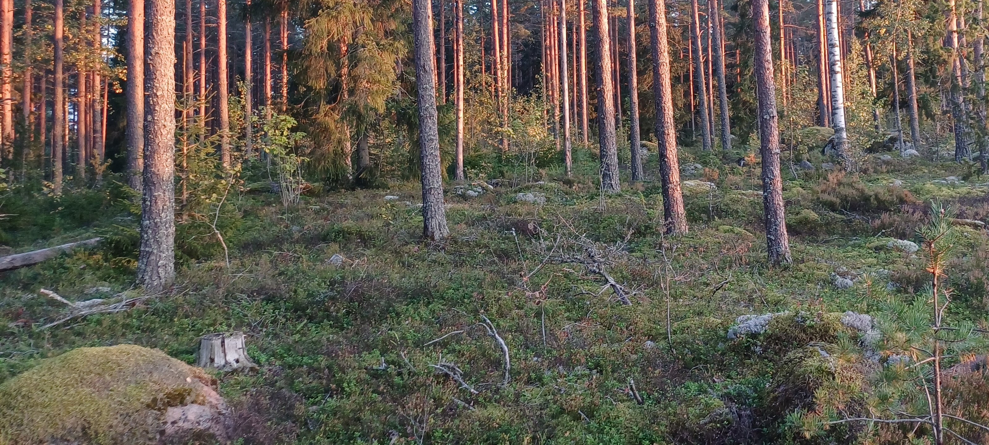 20250909_193725.jpg